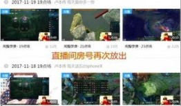 爆料我的视频大全,我的视频大全背后的精彩故事