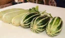 网红免费吃瓜,揭秘网络红人的幕后福利